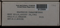 Image Associated With the Occurence